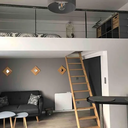 Moderne A Ferrand - 35 M² + Parking Gratuit * Clermont-Ferrand